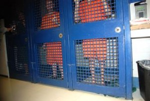 St tammany parish jail inmate list