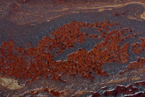 bpoilspill oil pollutes louisiana waters