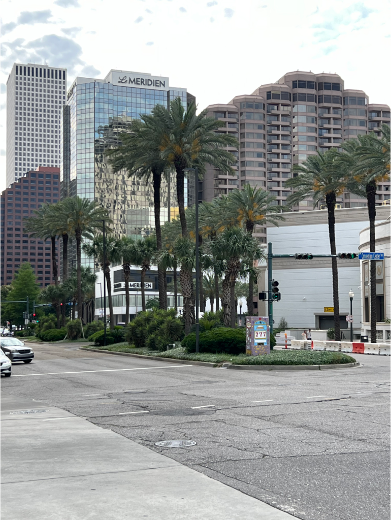 Street in Jefferson Parish . Bloom Legal Network represents personal injury victims.