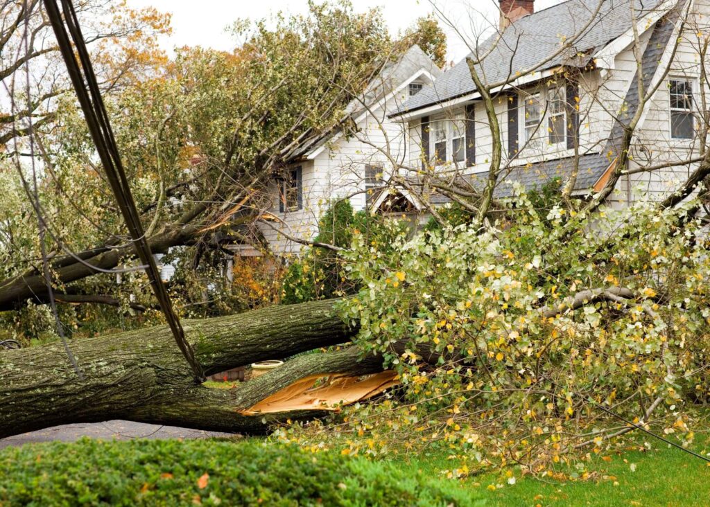 Bloom Legal Network can help with your claims from Hurricane Season.