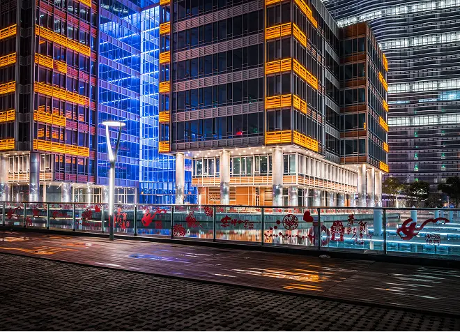 Services Area Why Choose Bloom Legal_ in bloom legal